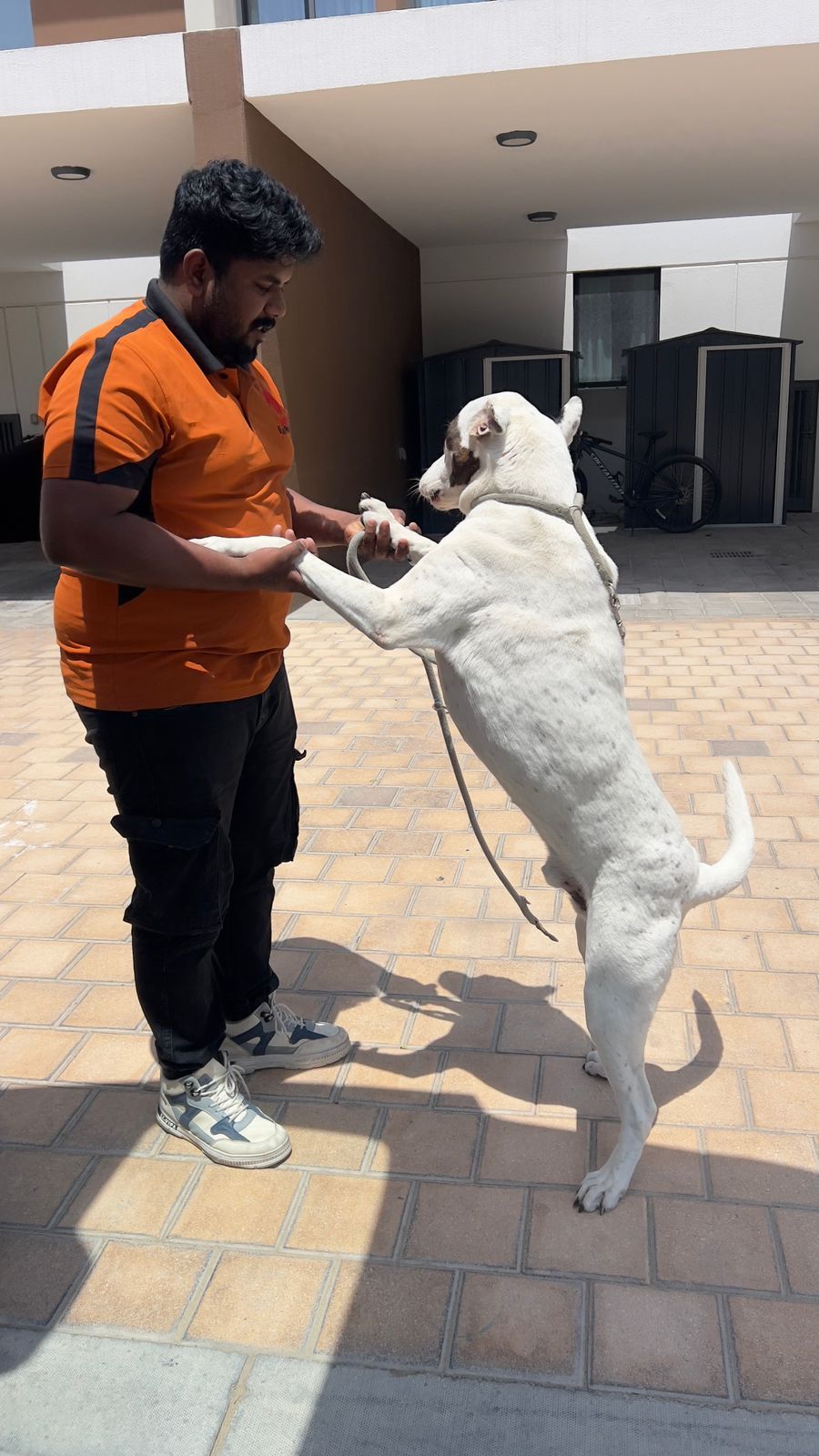 PET EXPRESS ANIMALS TRADING L.L.C 2