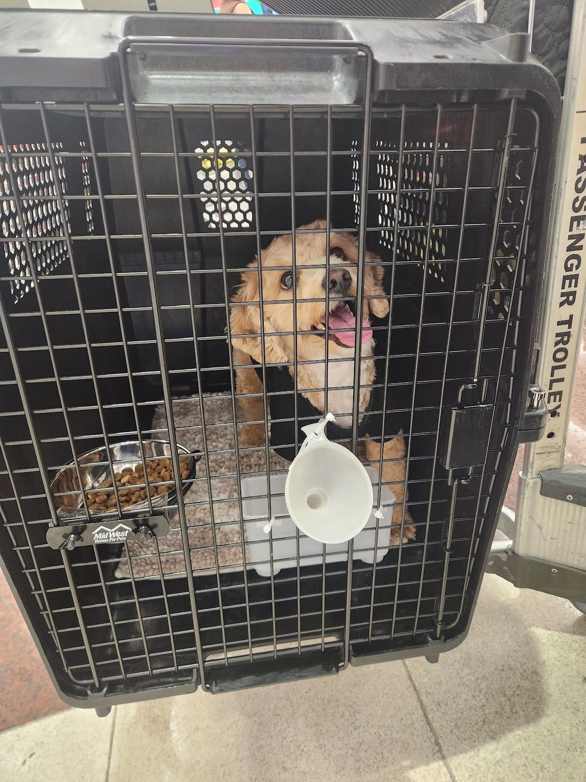 PET EXPRESS ANIMALS TRADING L.L.C 3