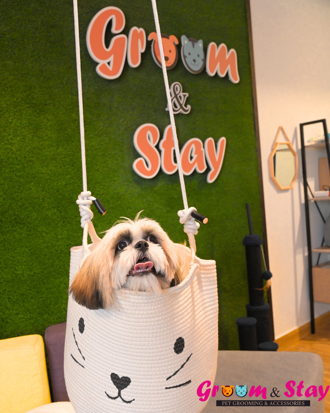 Groom&Stay - Pet Grooming and Accessories