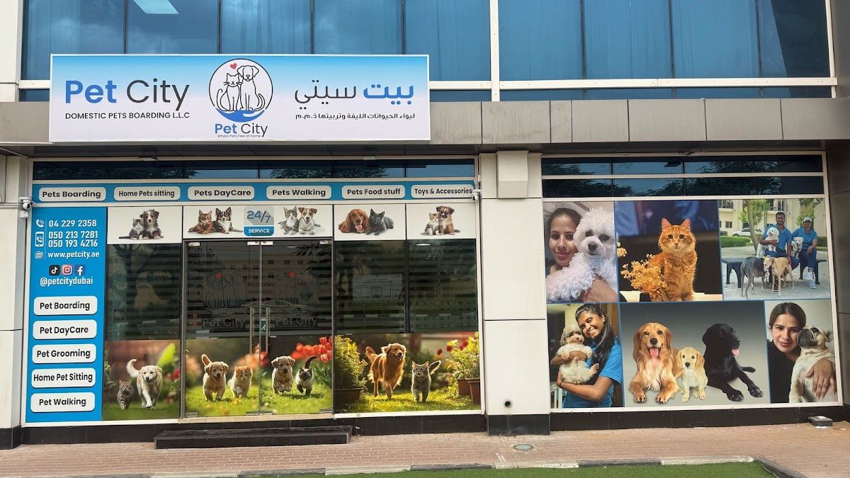 Pet City Domestic Pet Boarding LLC 3