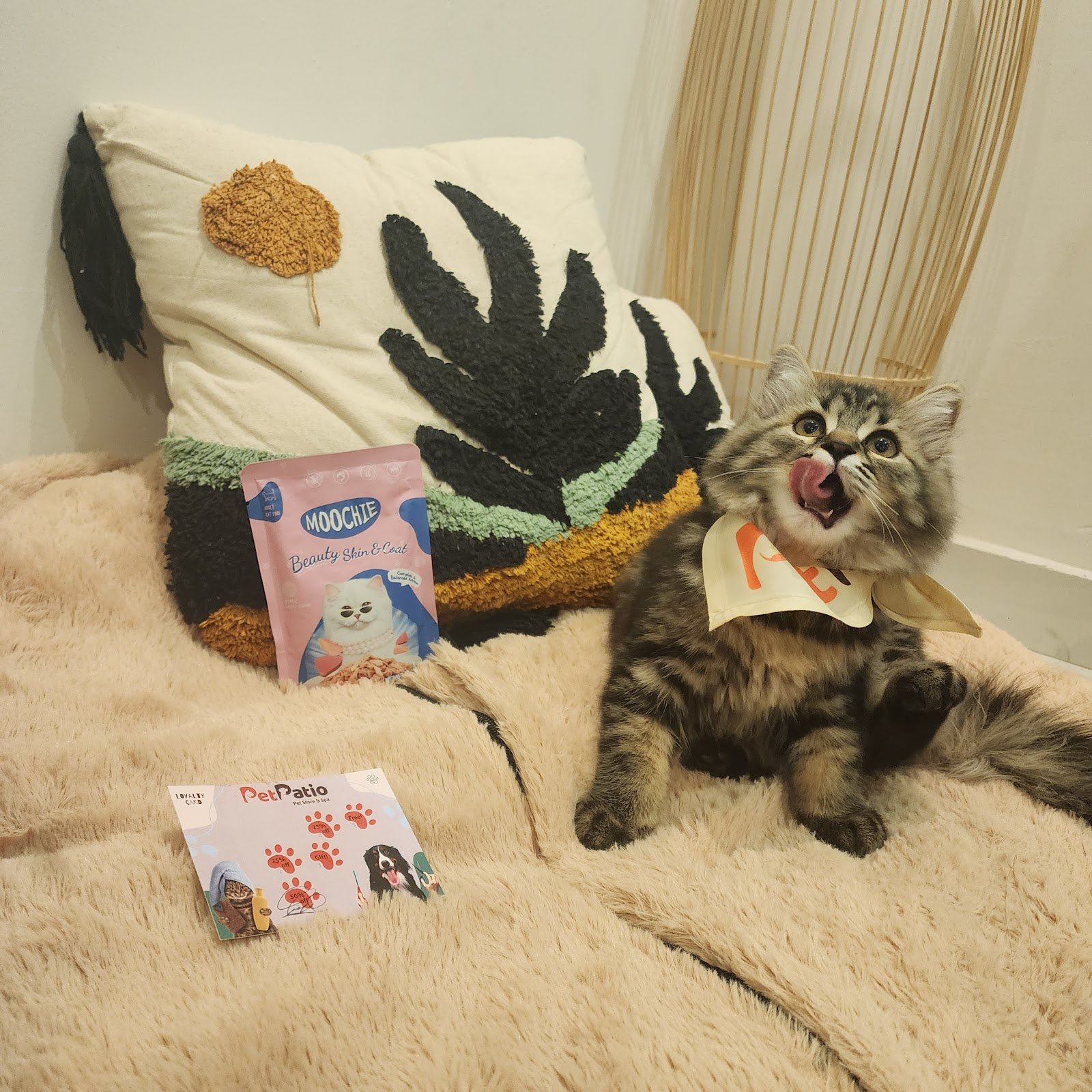 Pet Patio