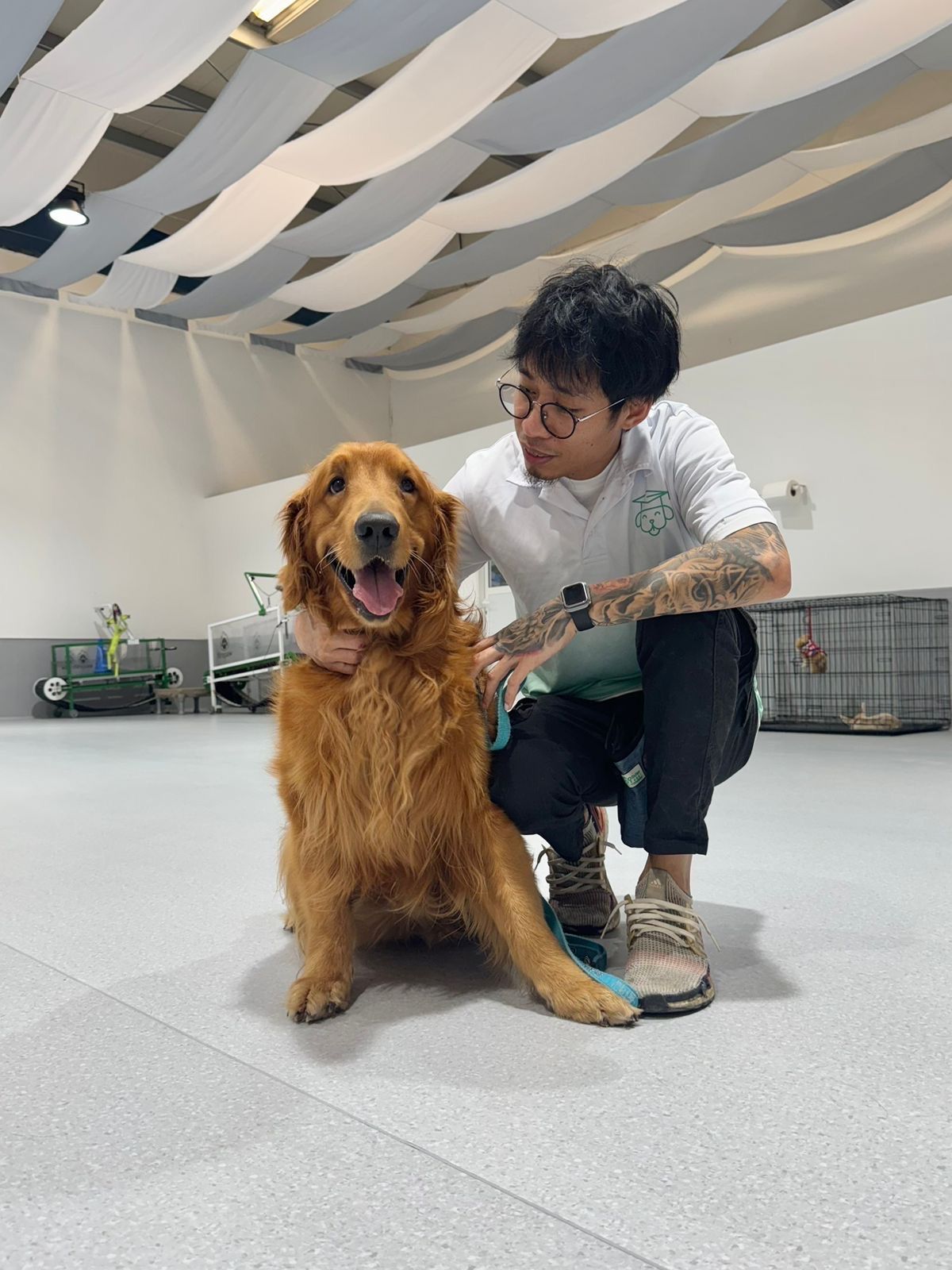 Olivier Zoppi | Dog Psychology Center Dog training and rehabilitation center 3