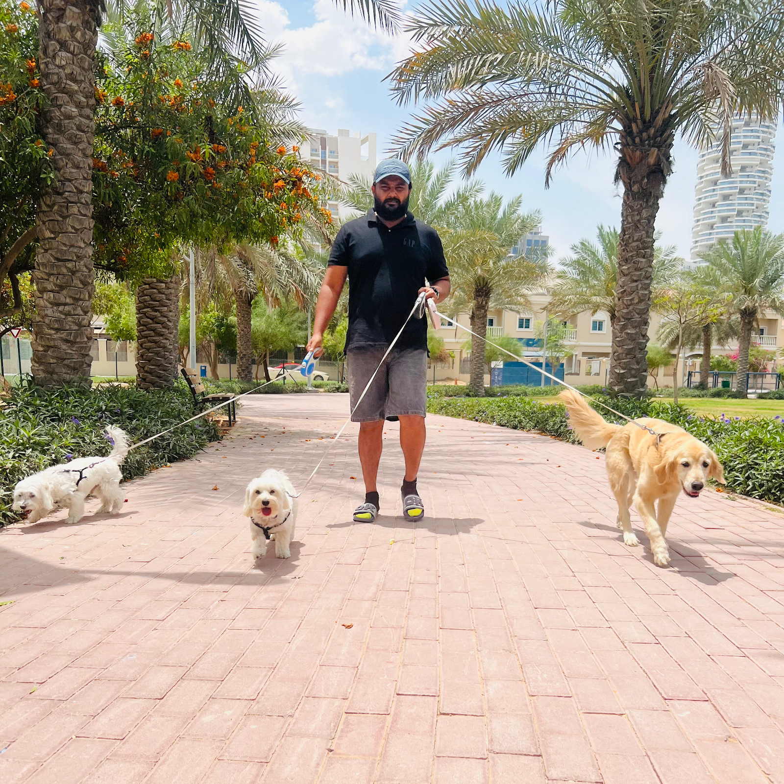 Happy Walk Pet Care 5