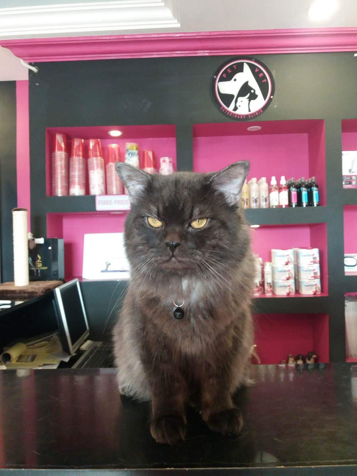 Al Oropi Veterinary Center 3