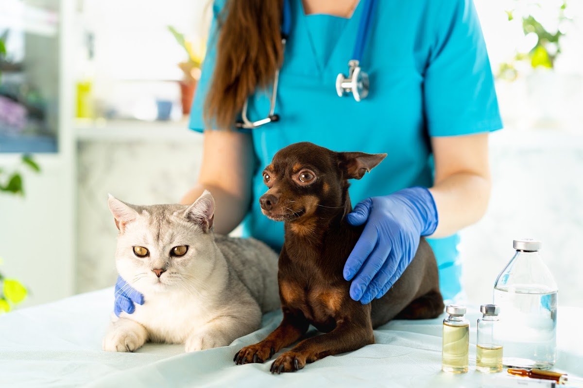 British Veterinary Hospital