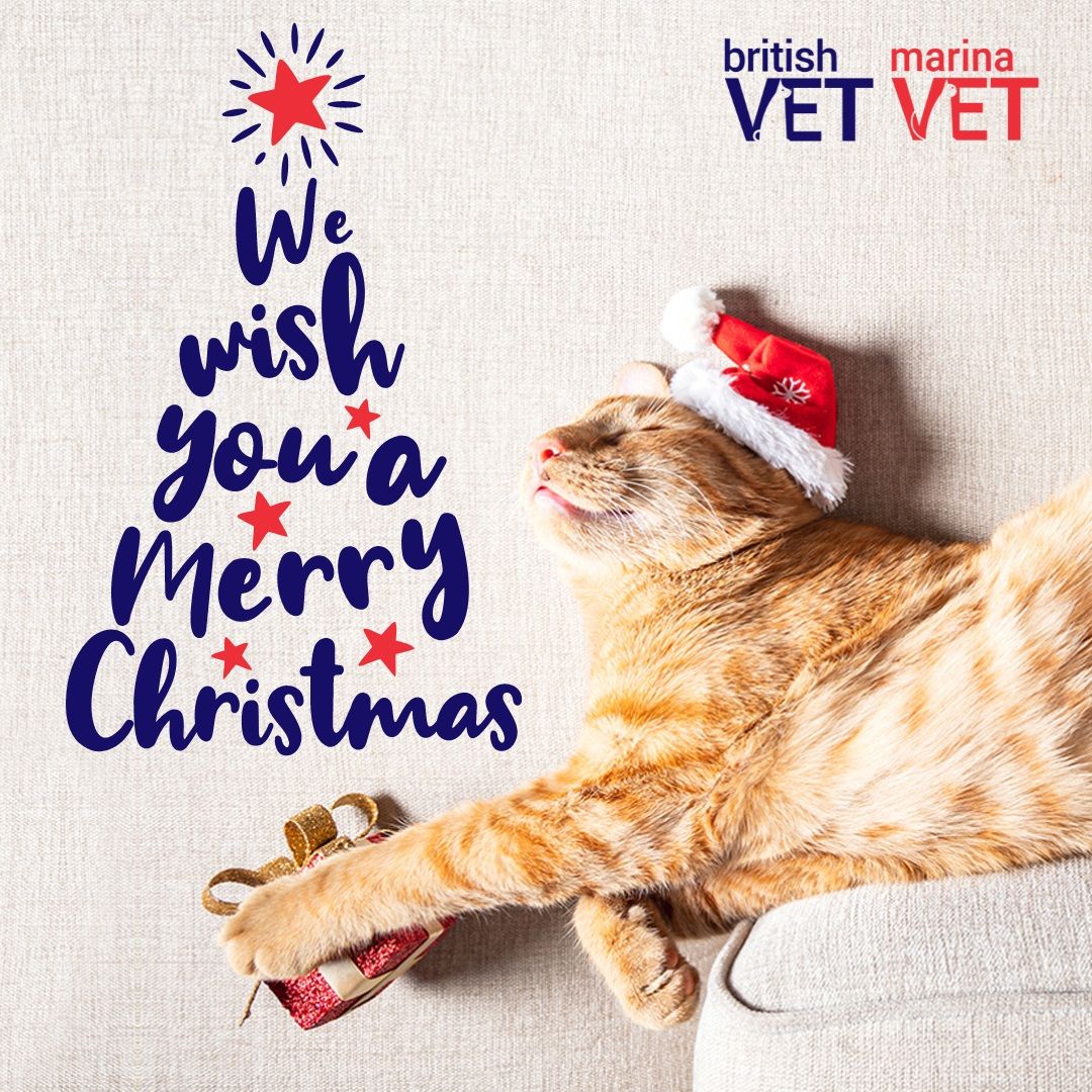 British Veterinary Hospital 5