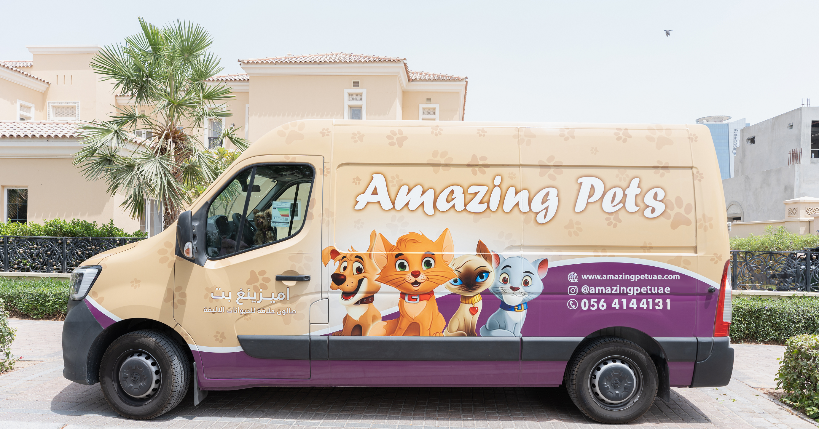 Amazing Pet Grooming