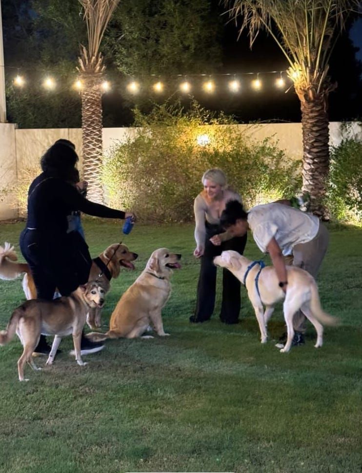Ritz Pups 2