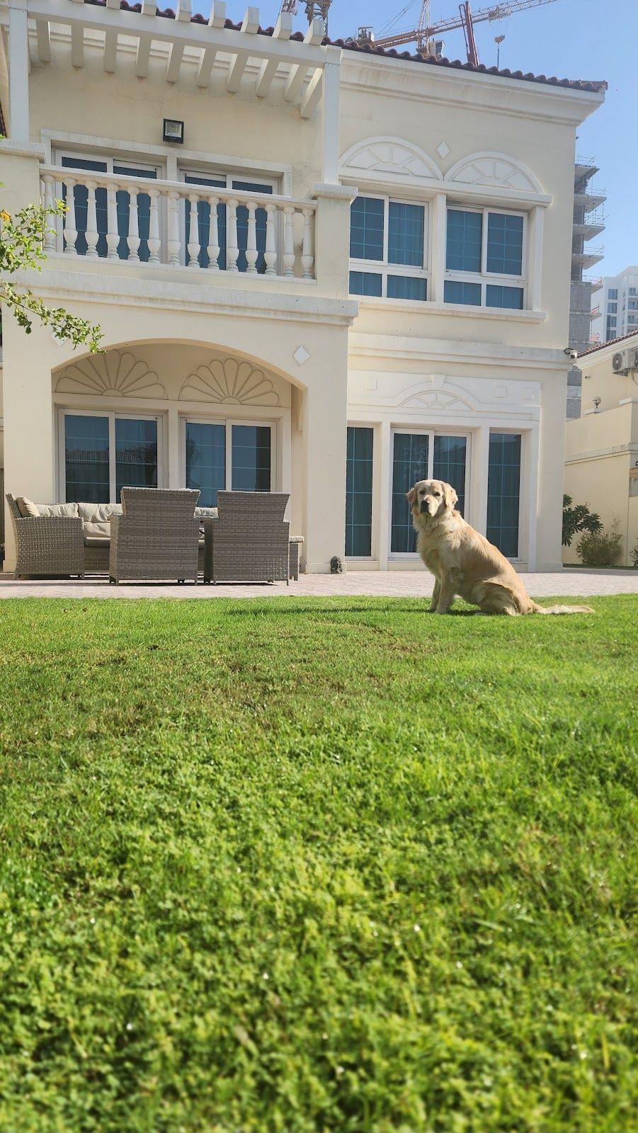 Ritz Pups 3