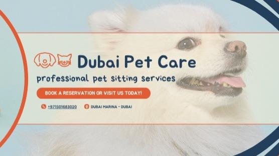Dubai Pet Care - Pet Sitting Service