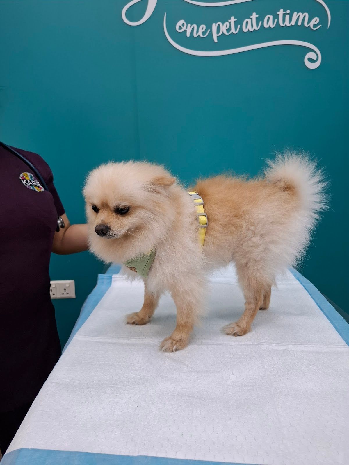 Kare Veterinary Clinic LLC 3