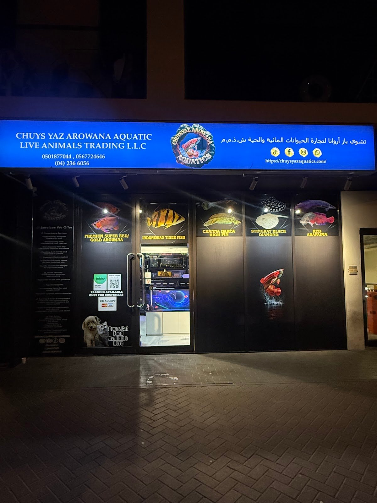 Chuysyaz Arowana Aquatic & Live Animals Trading L.L.C