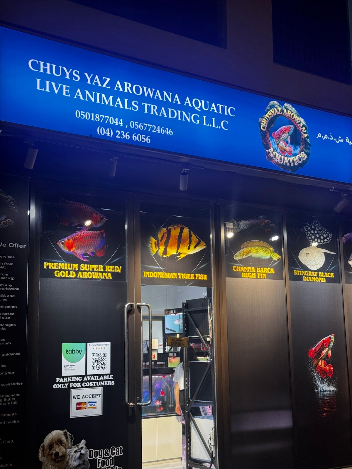 Chuysyaz Arowana Aquatic & Live Animals Trading L.L.C 4