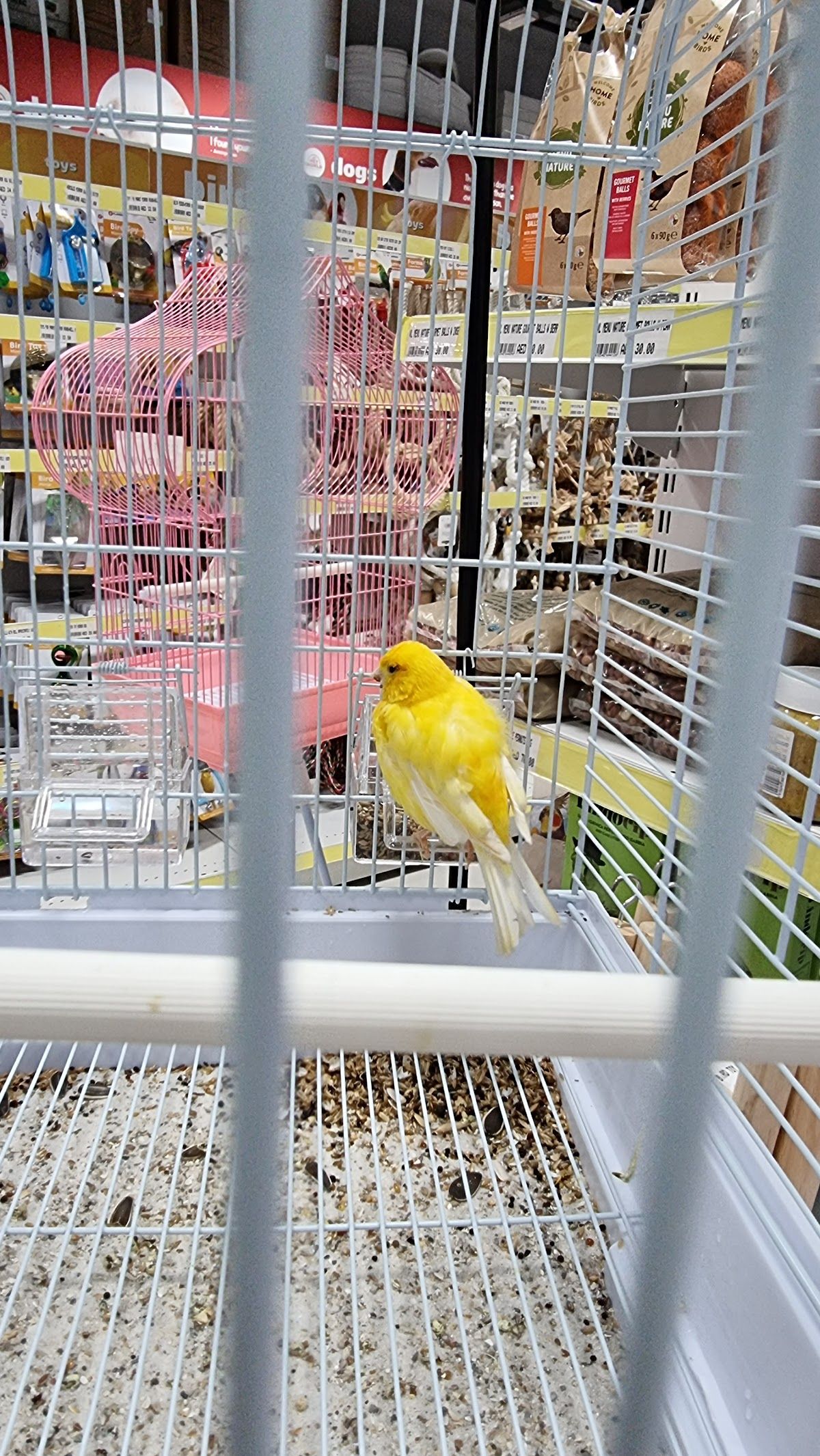Petworld UAE The Springs Souk 2