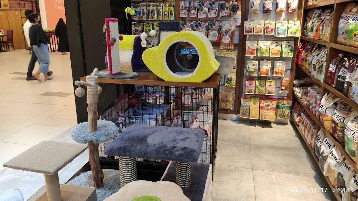 Beauty Pets - Circle Mall JVC 3