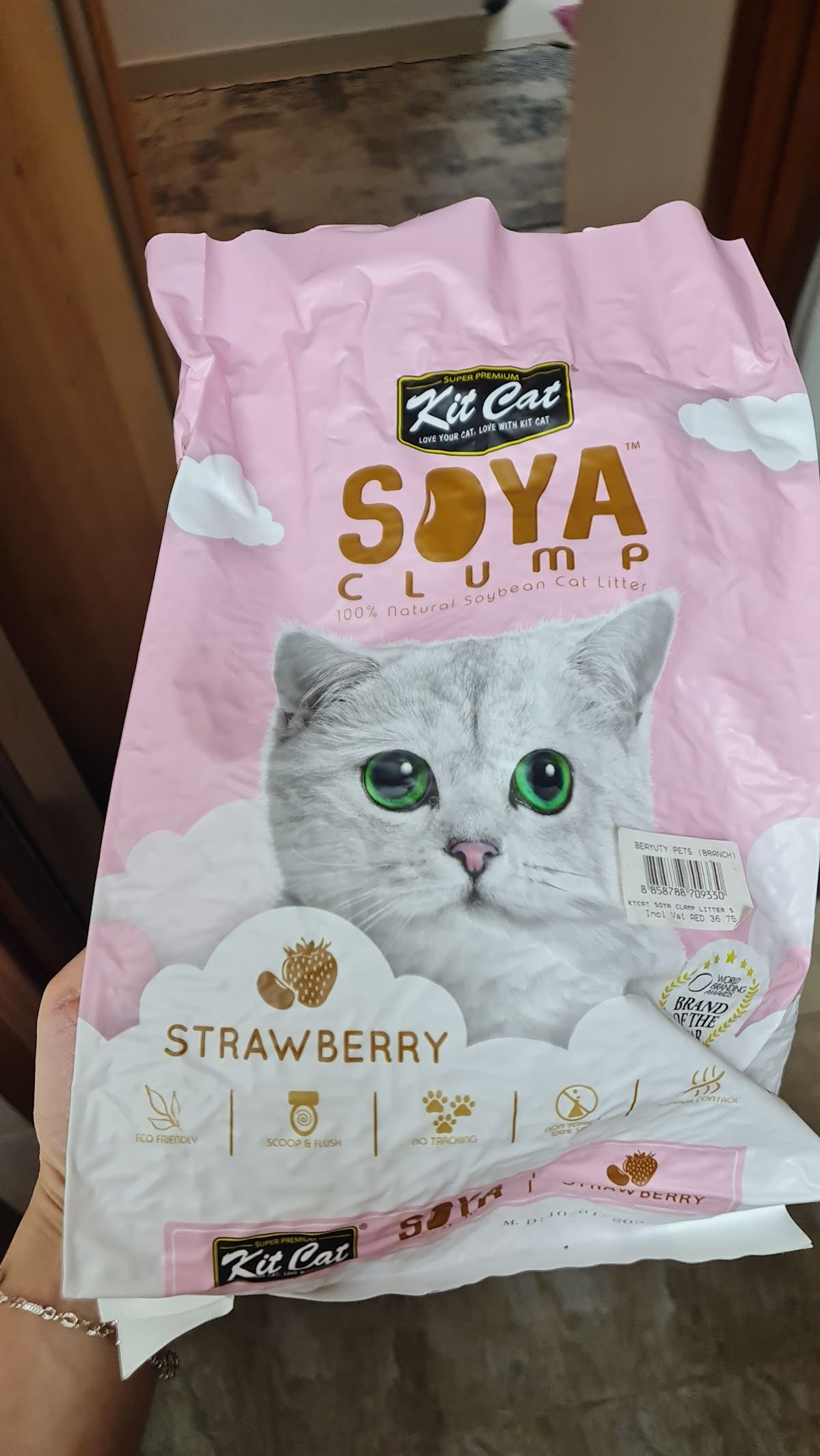 Beauty Pets - Circle Mall JVC 4