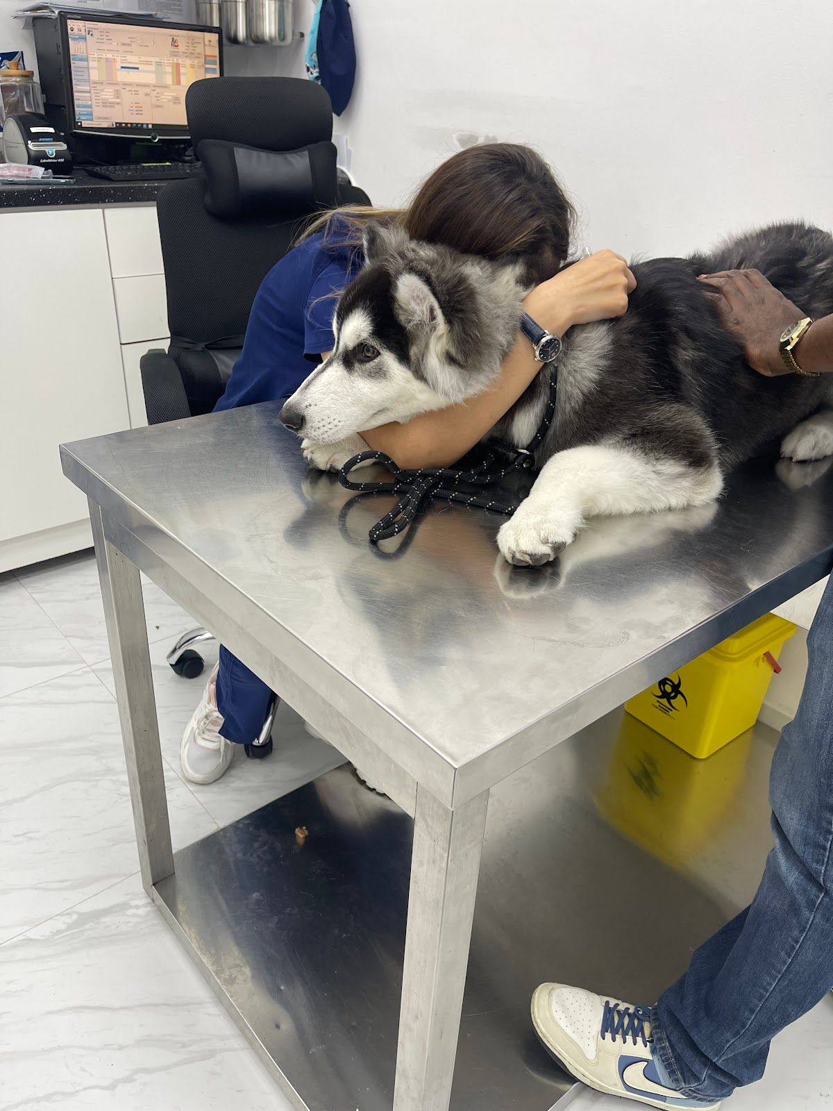Lucky Veterinary Clinic (LVC) 5