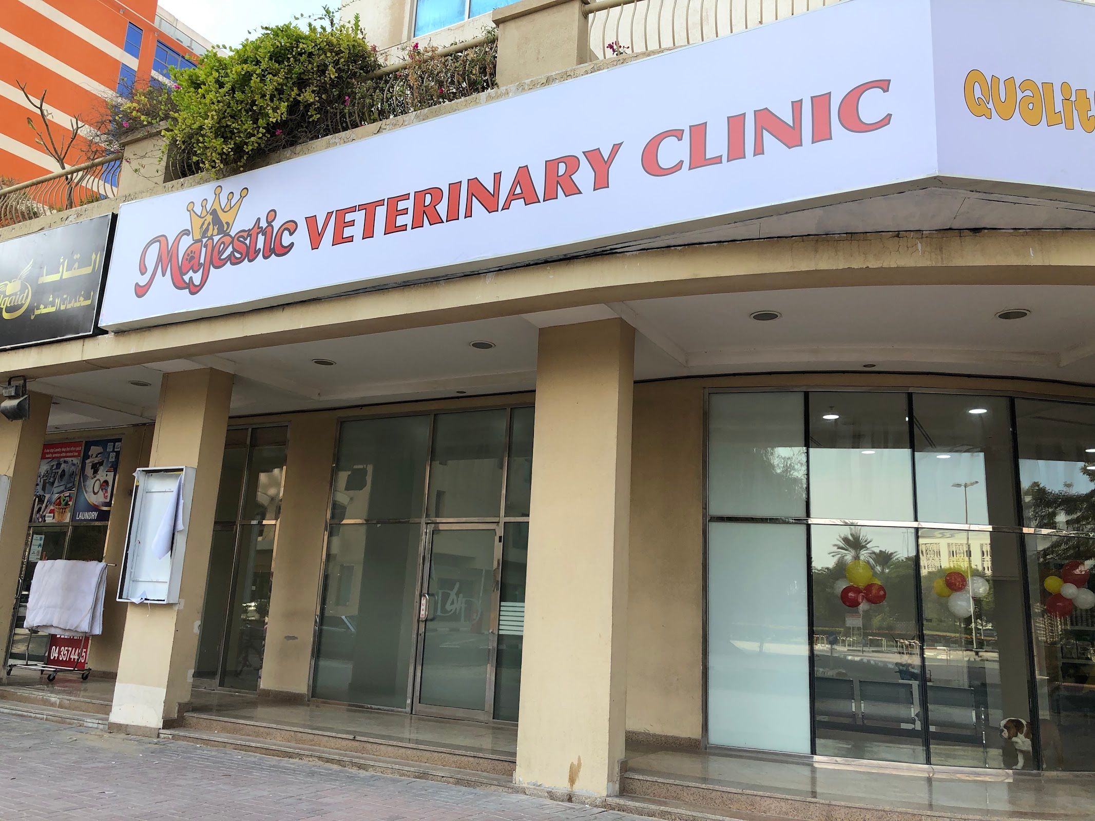 Majestic Veterinary Clinic 3