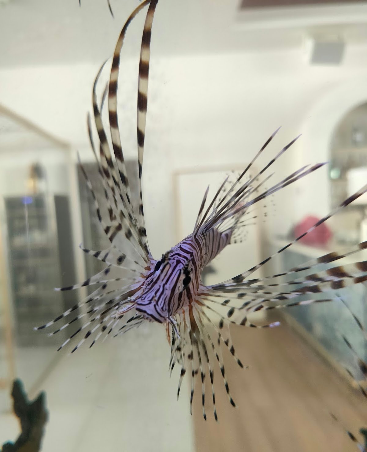 Aqua Art