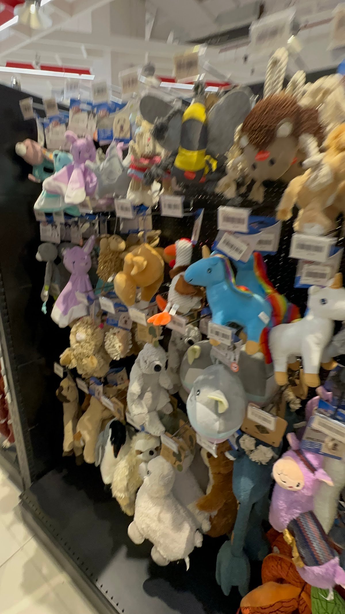 The Petshop - Forsan Mall | 60 min delivery photo 3