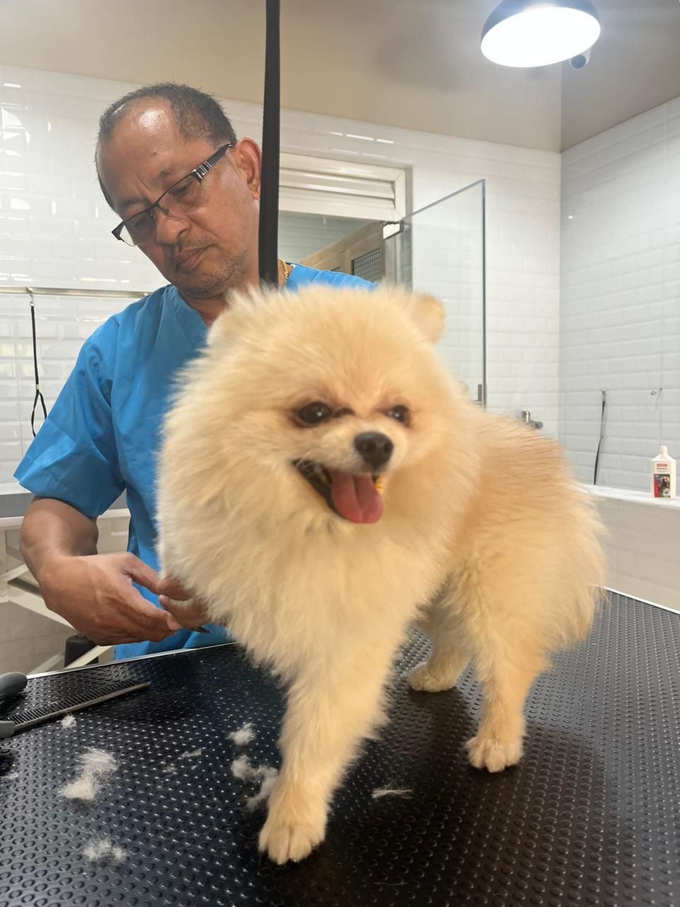 Tail Waggin' Pet Spa Dubai Hills 3
