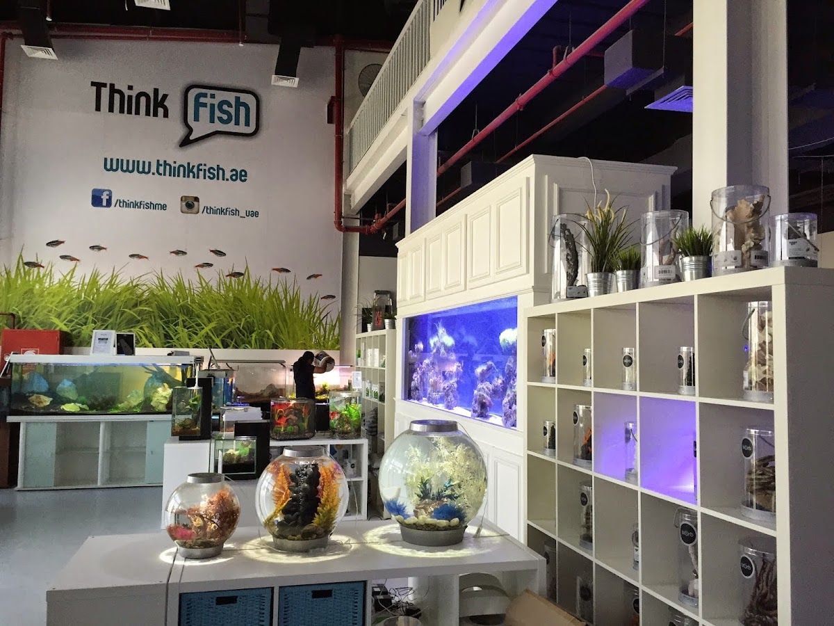 Think Fish 2