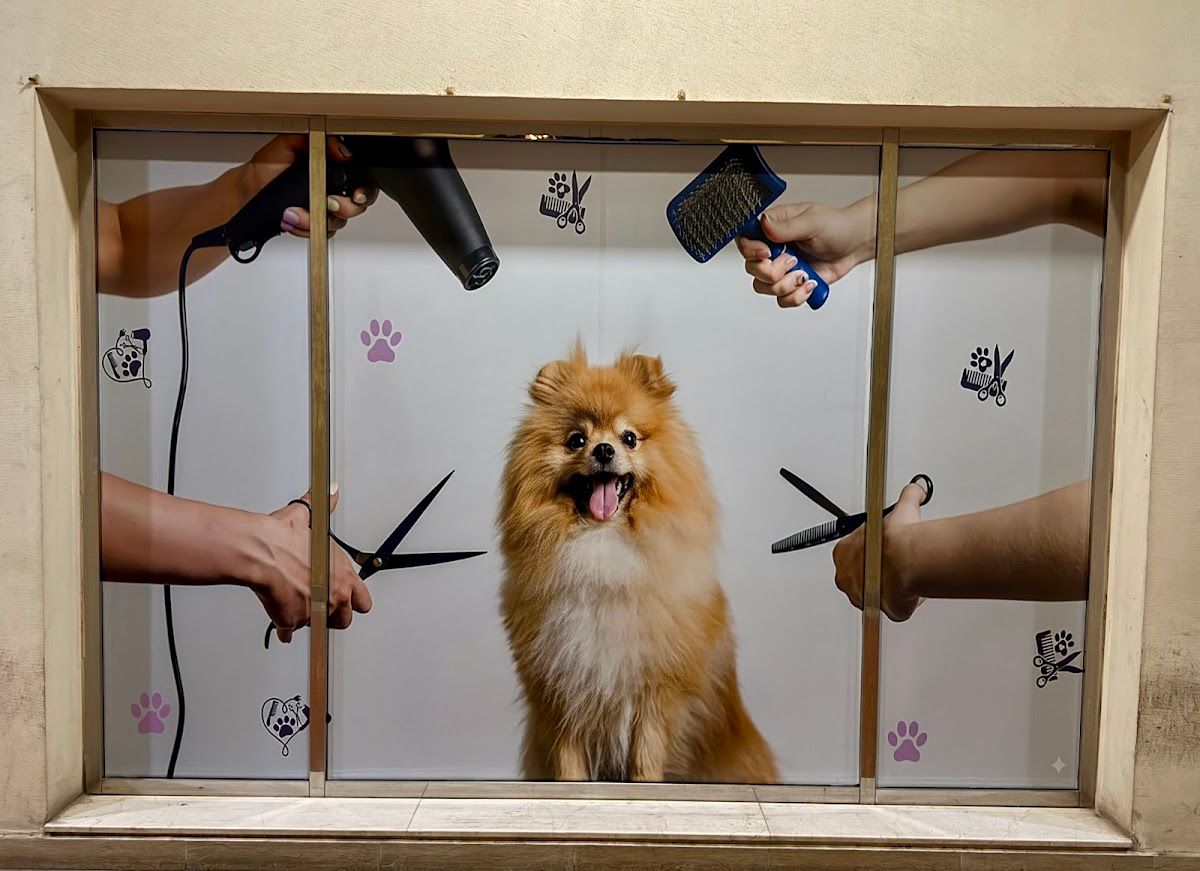 Provetex pet clinic 3