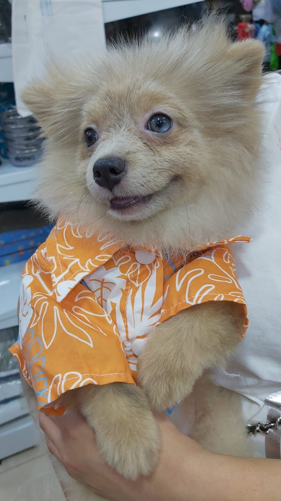 Smart Pets Care 3