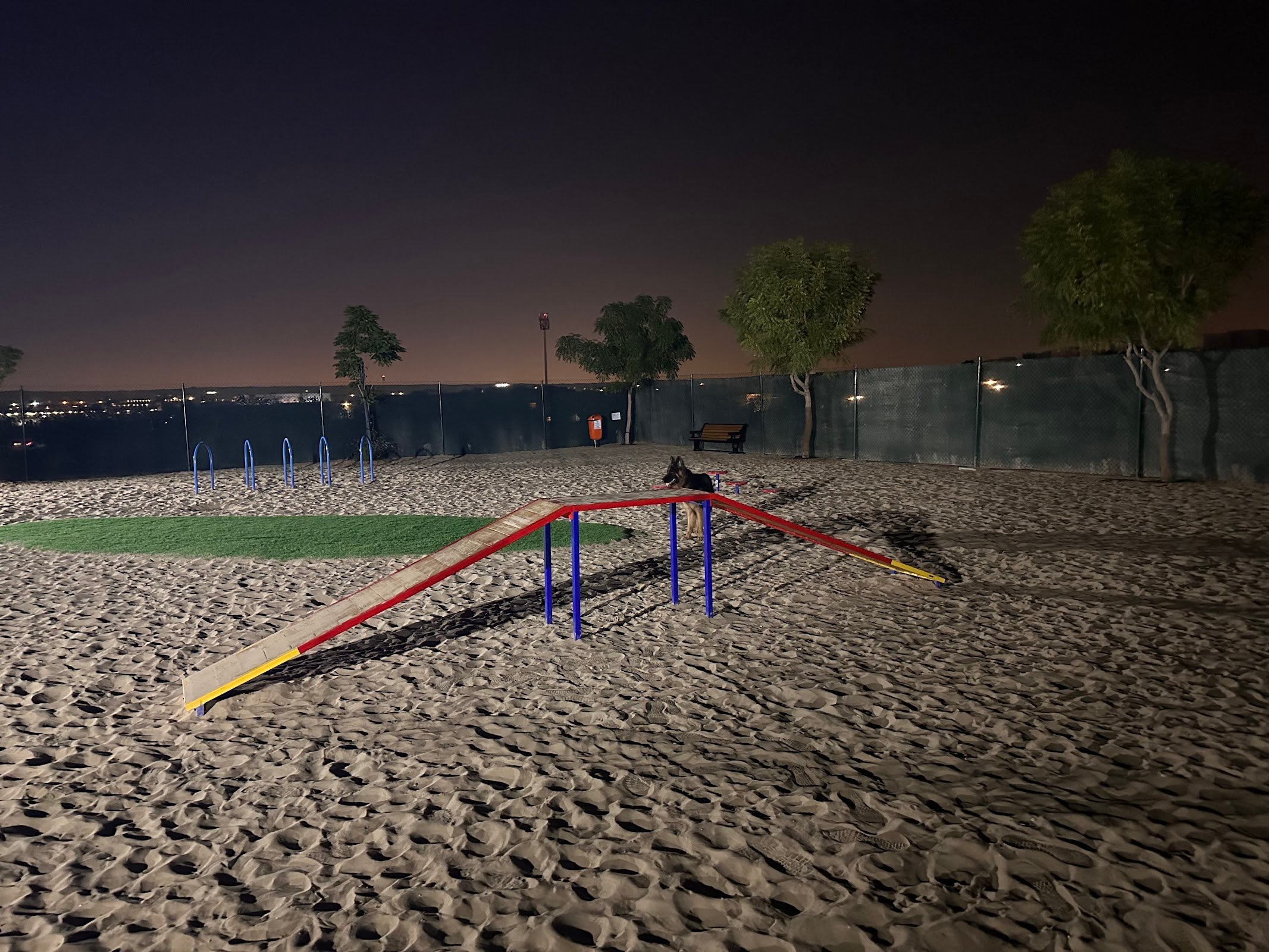 Dog Park Silicon Oasis photo 2