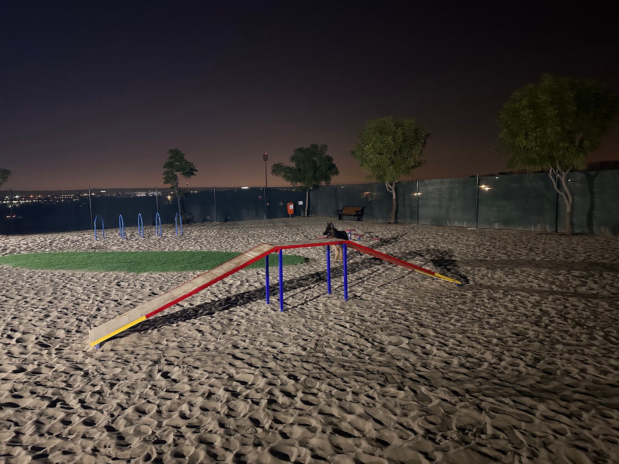 Dog Park Silicon Oasis 2