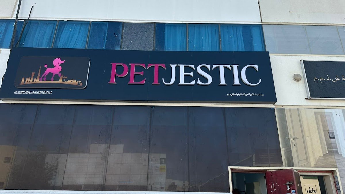 Petjestic Puppies Dubai