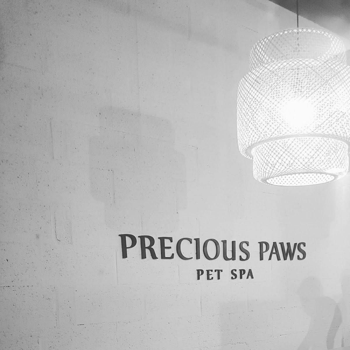 Precious Paws Pet Spa 2