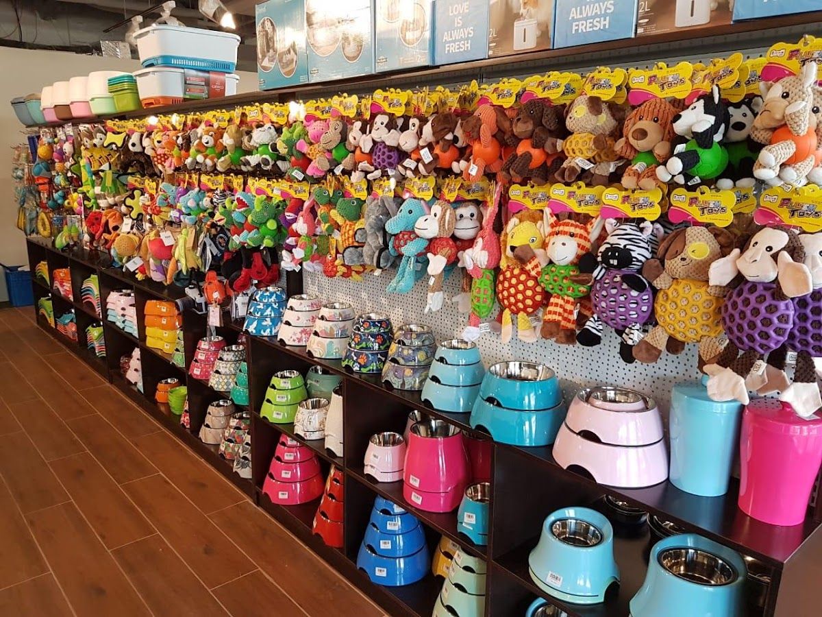 Precious Paws Pet Spa 3