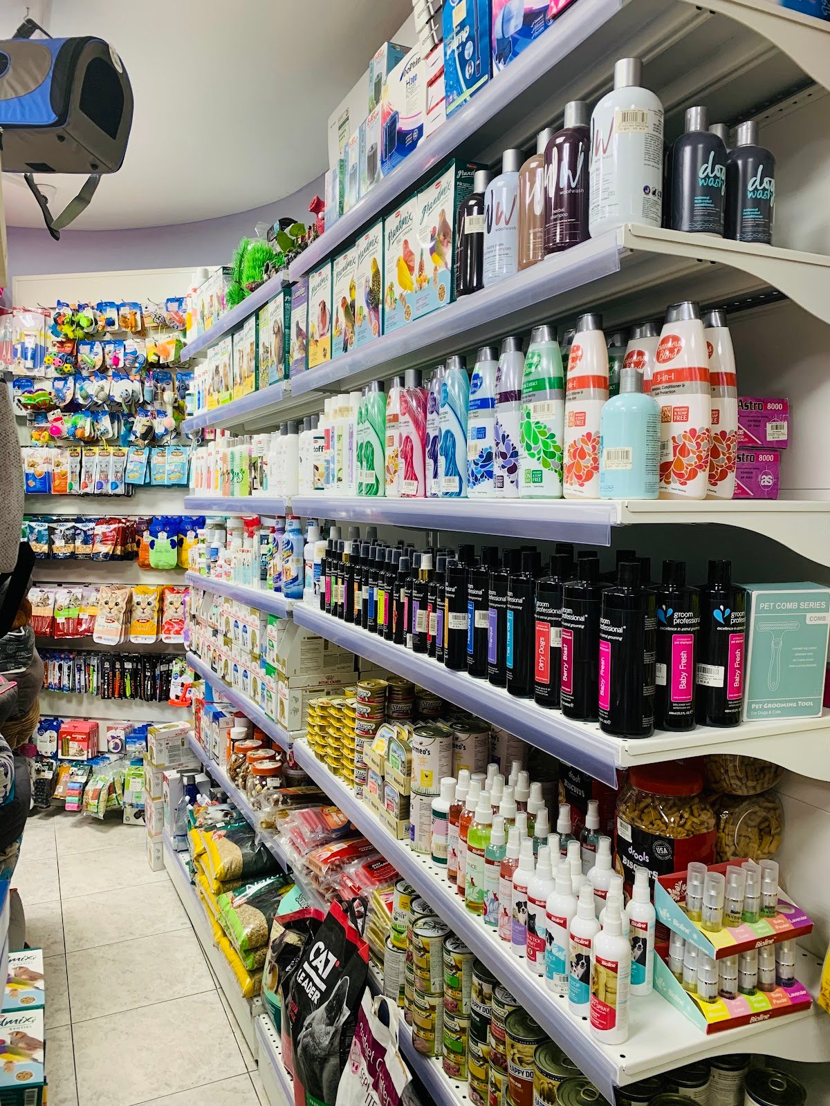 Aquarium Lives – Abela Supermarket Khalidiyah photo 2