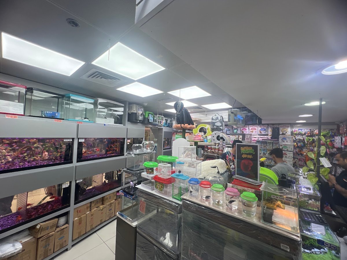 Aquarium Lives – Abela Supermarket Khalidiyah photo 4