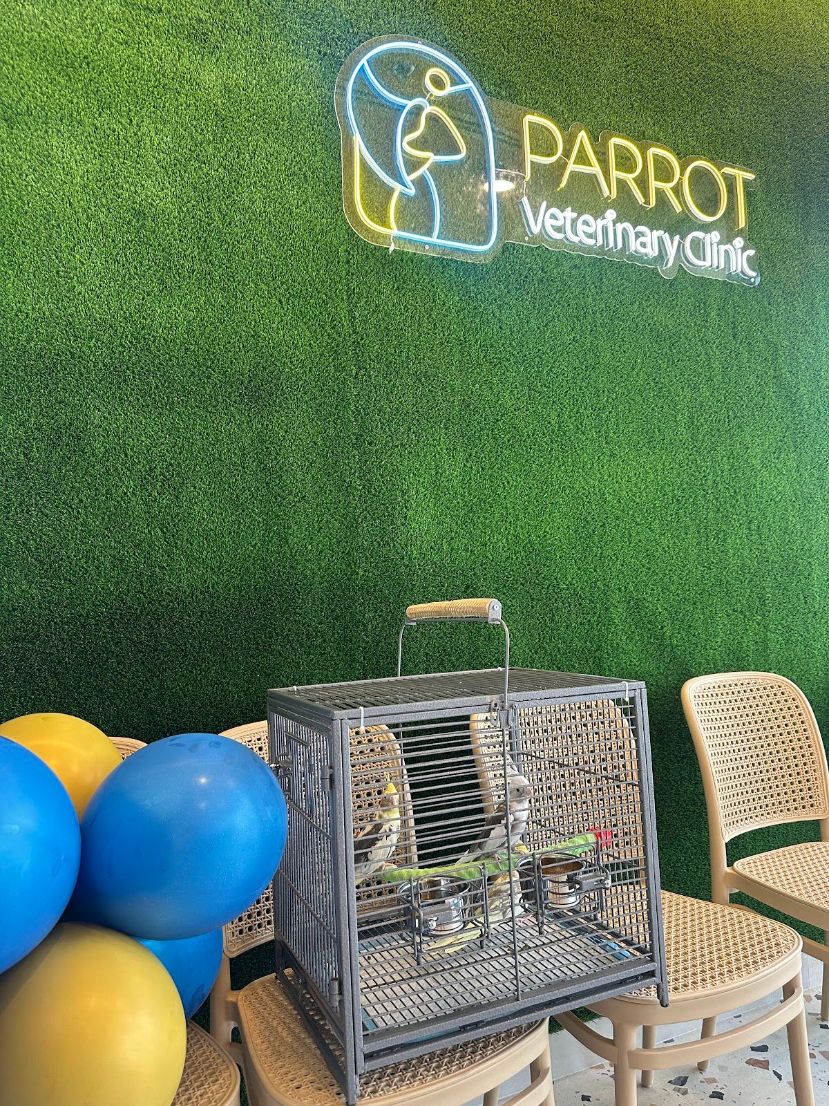 Parrot Veterinary Clinic - Exclusive Clinic for Pet Birds in Dubai 2
