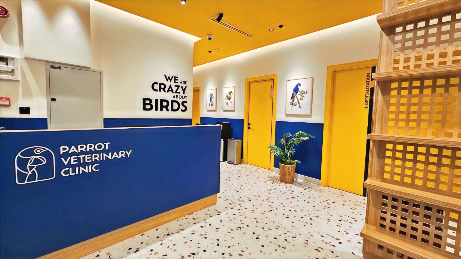Parrot Veterinary Clinic - Exclusive Clinic for Pet Birds in Dubai 3