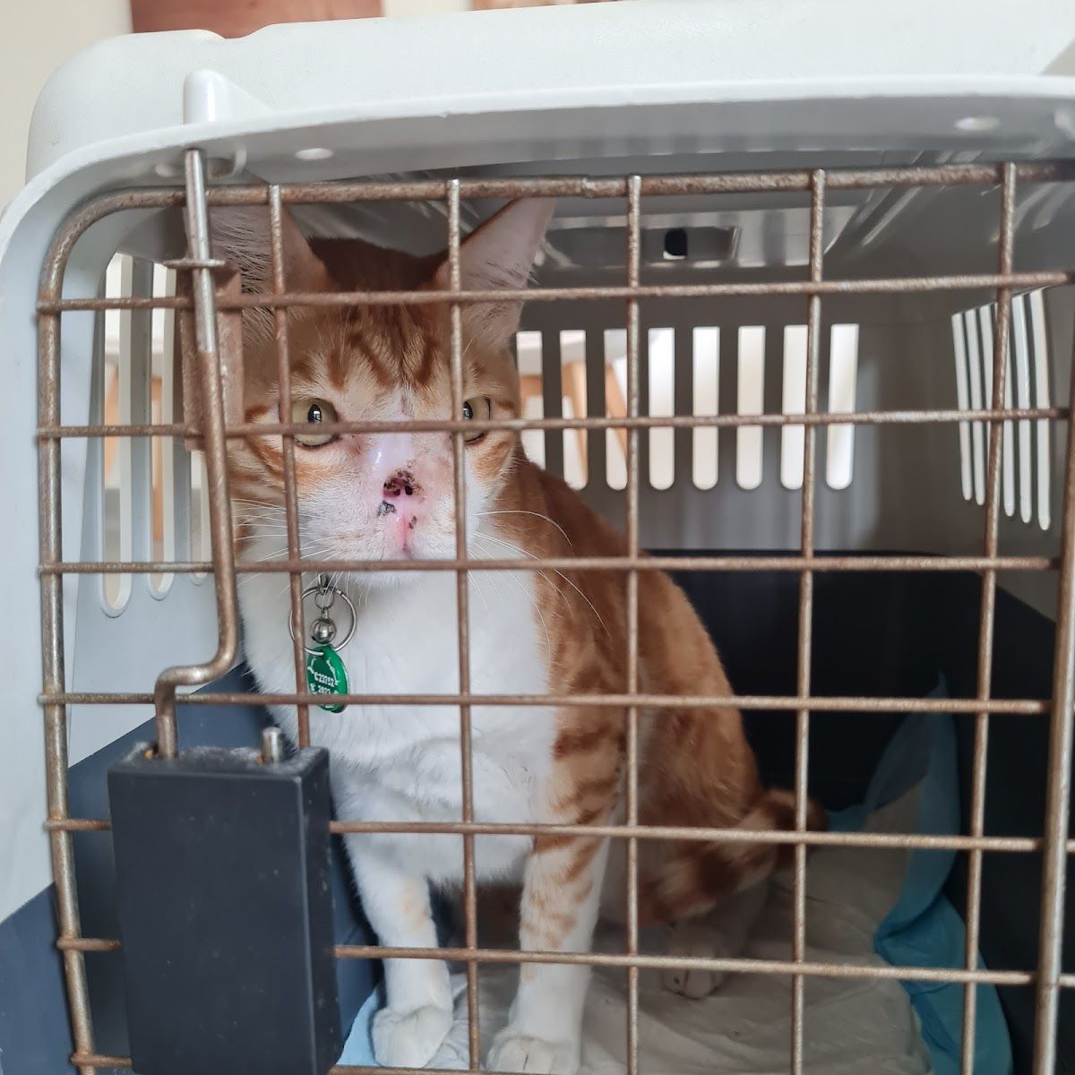 Noble Veterinary Centre 5