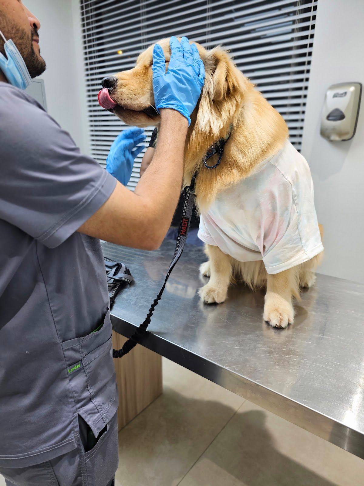 Pet Point Veterinary Clinic 4