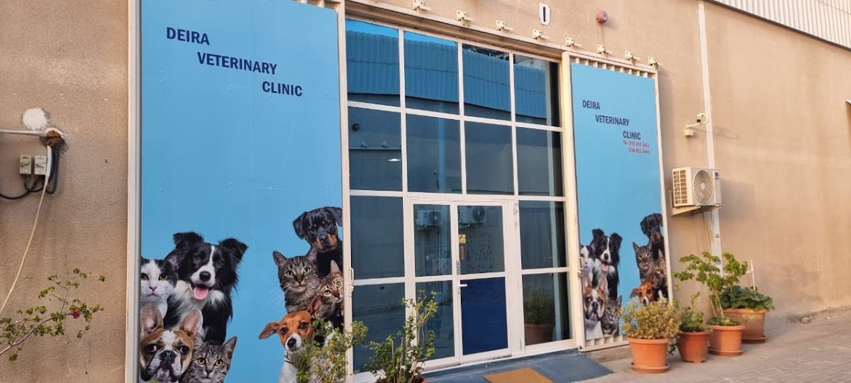 Deira Veterinary Clinic LLC