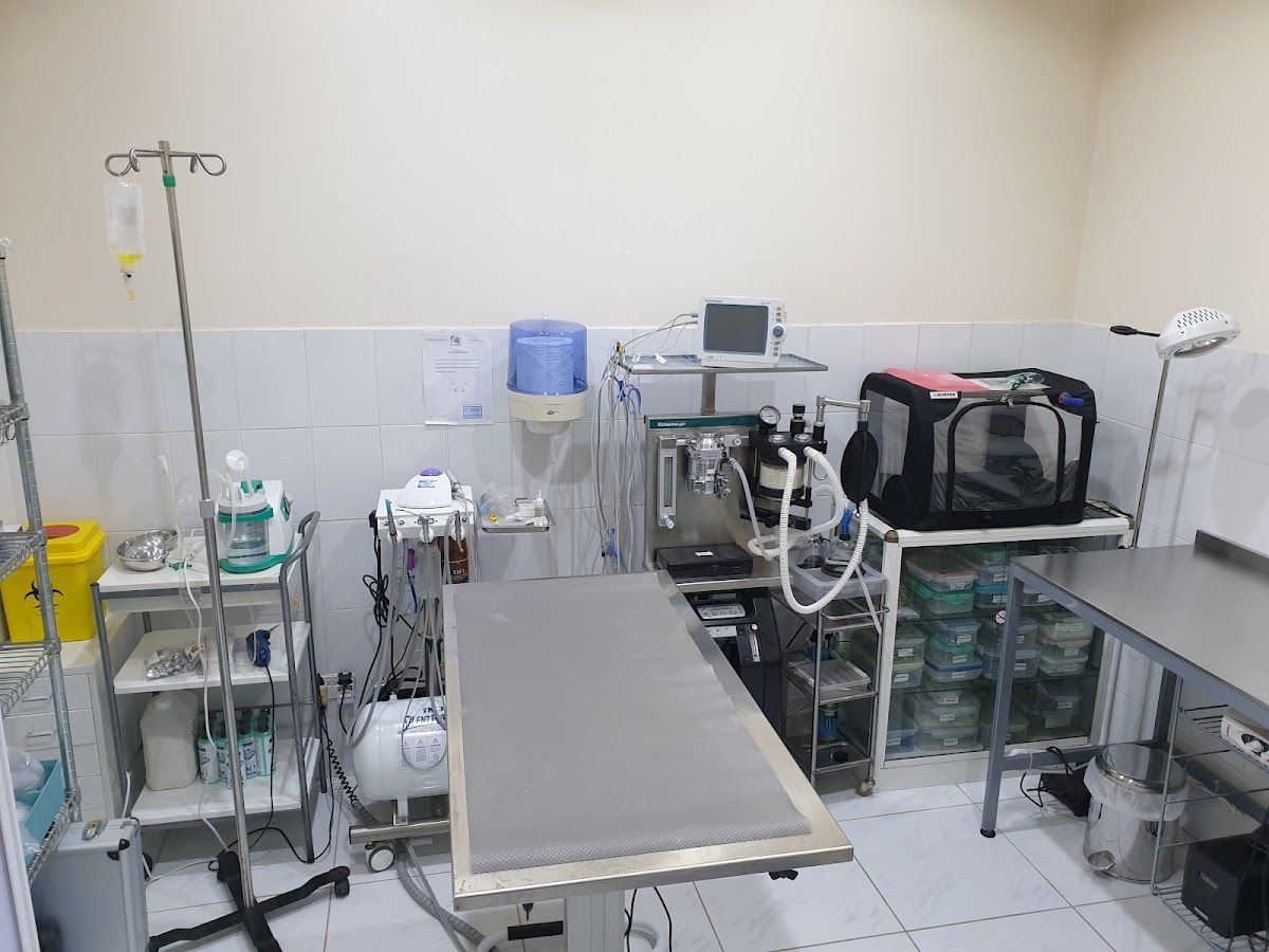 Deira Veterinary Clinic LLC 4