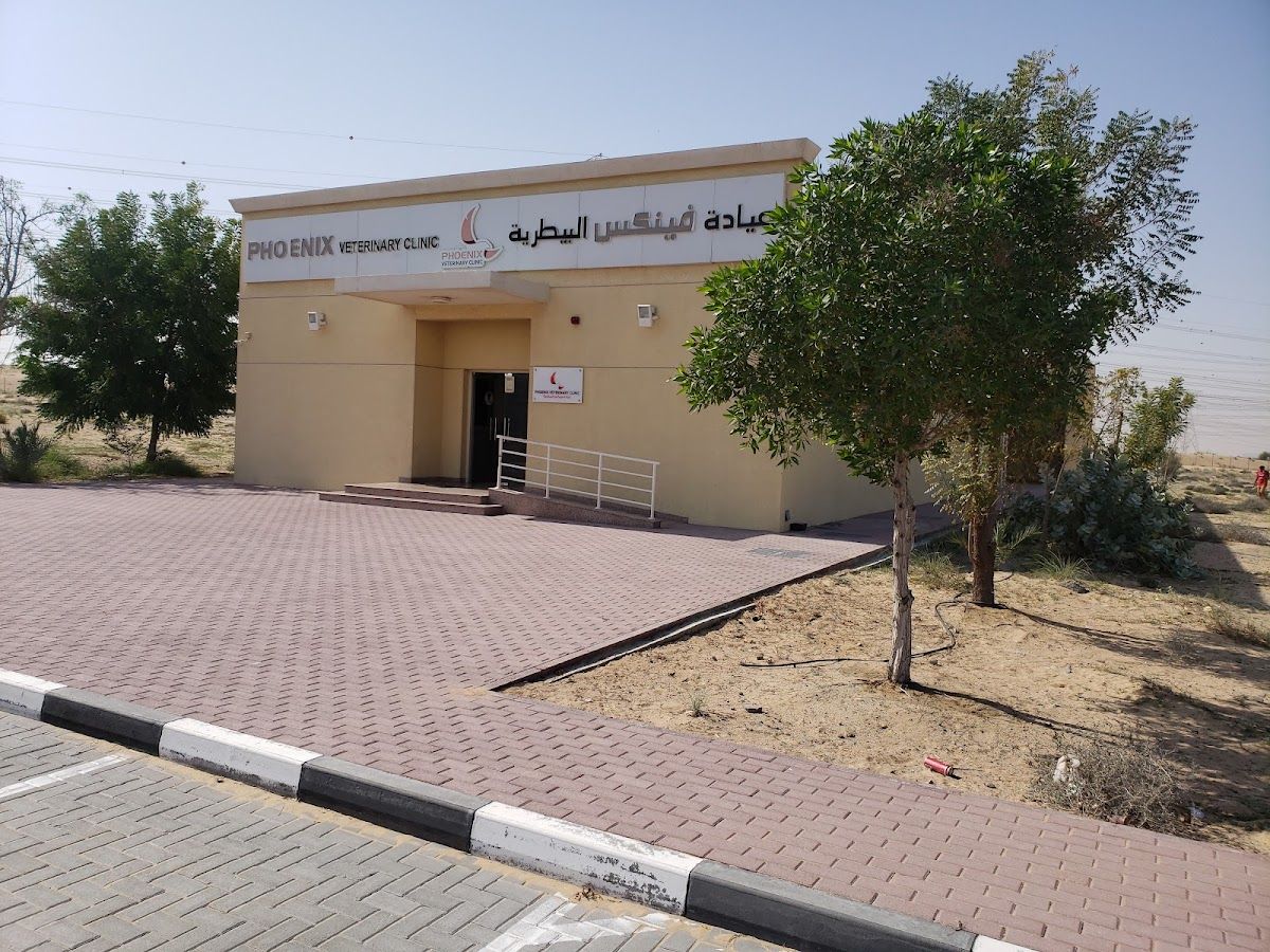 Phoenix Veterinary Clinic 2