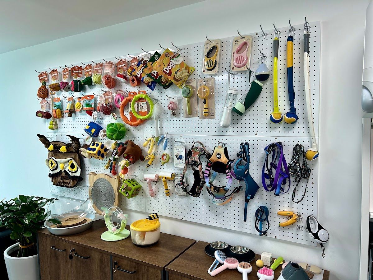 Synergy and Prosperity Pet Accessory Trading LLC 2