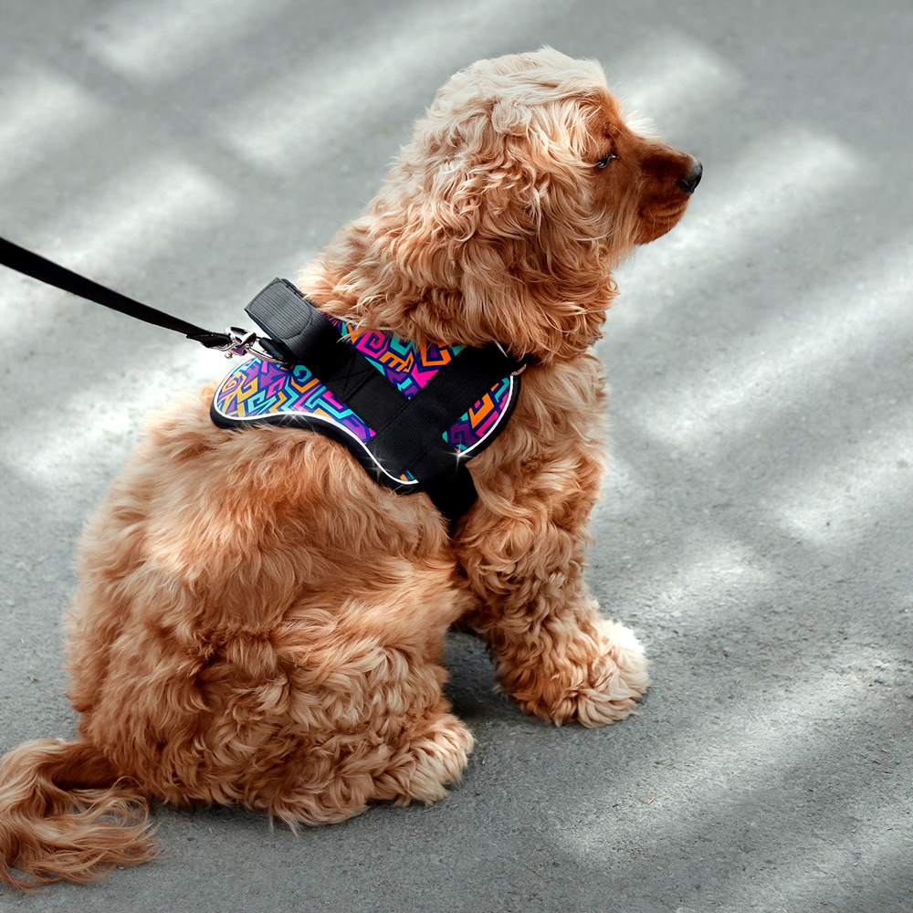 Milanpetgroup 2