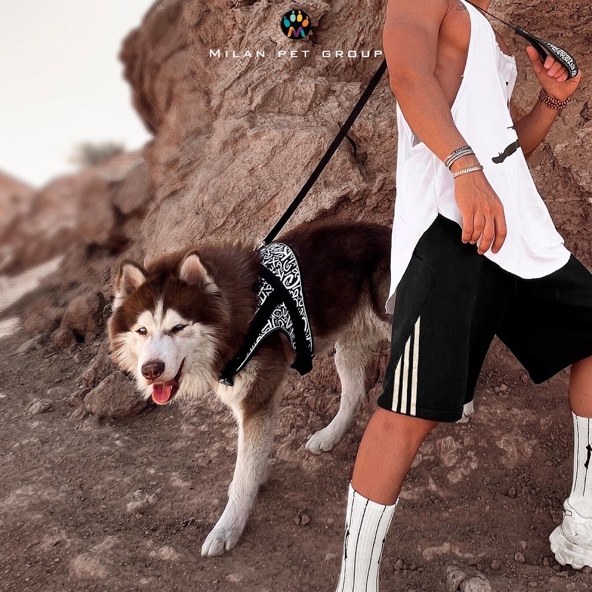 Milanpetgroup 5