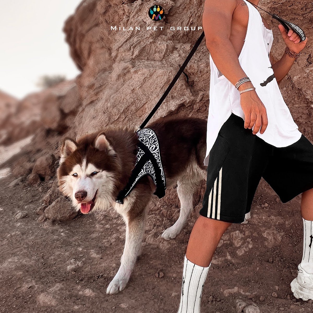 Milanpetgroup photo 5