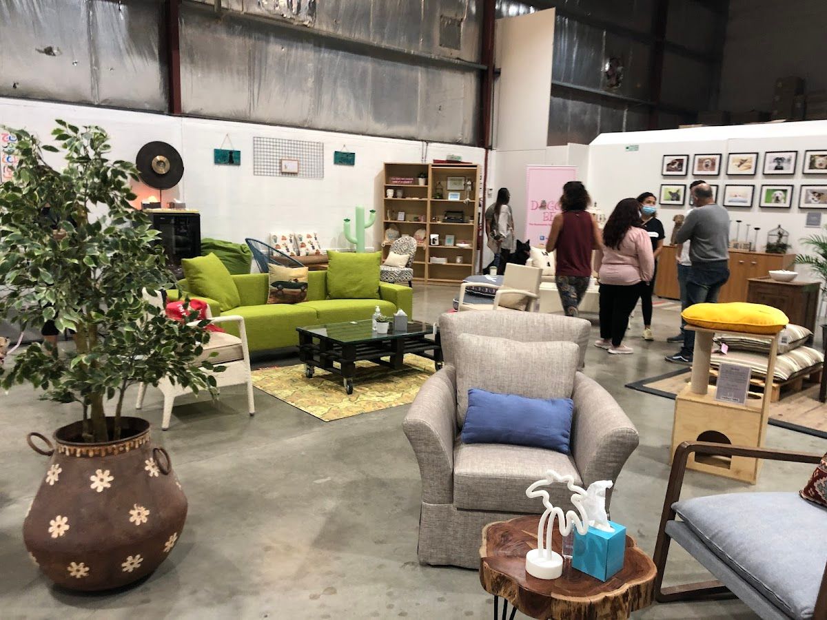 Doggy Be : Eco-friendly beds, toys and accessories for cat, dog and pet parents 2