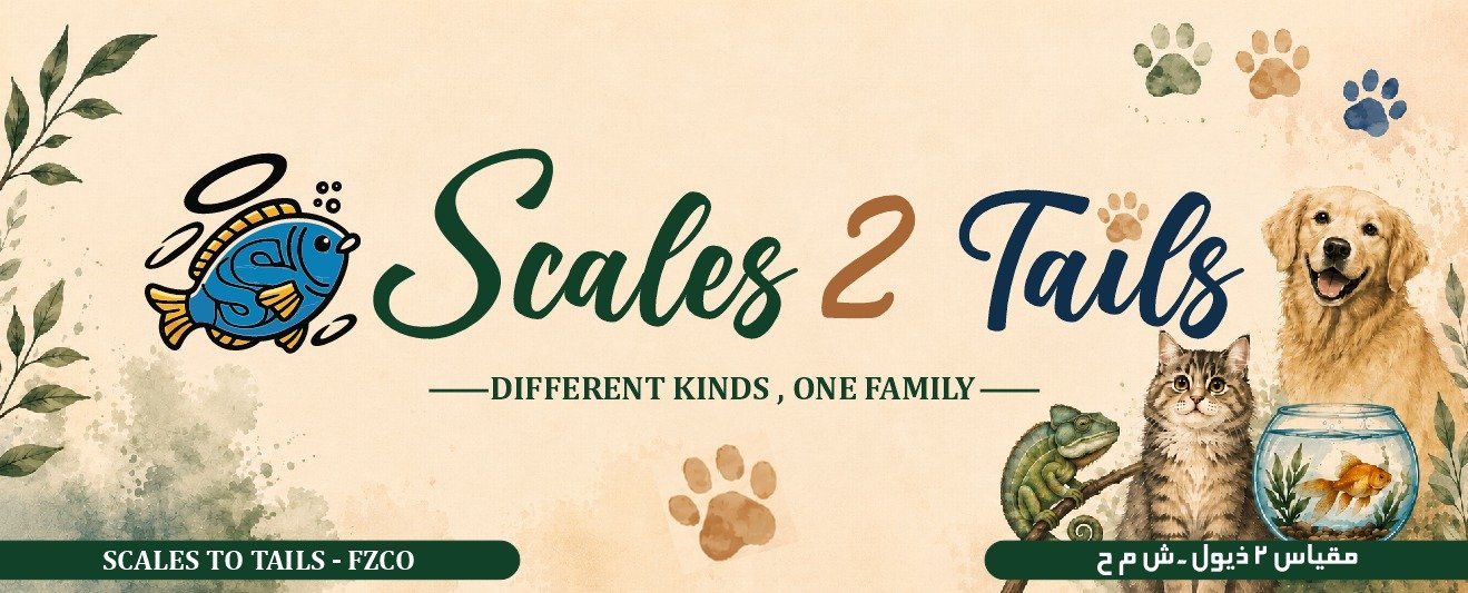 Scales 2 Tails